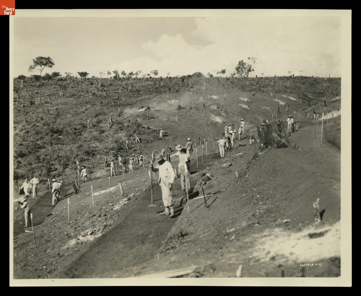 Terracing, Fordlandia, Brazil, 1931