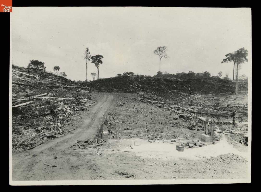 New Road Construction at Fordlandia, Brazil, 1929