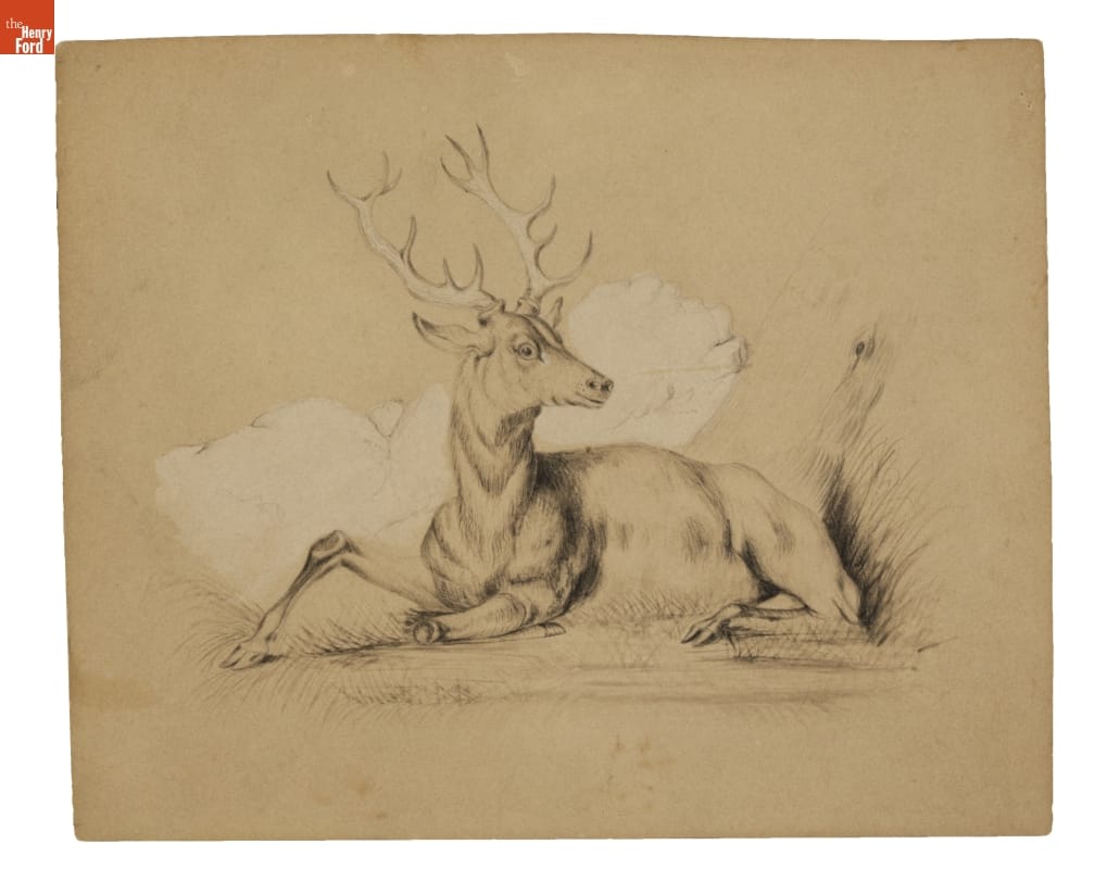 Drawing of a Stag, by Lydia Adams, circa 1867