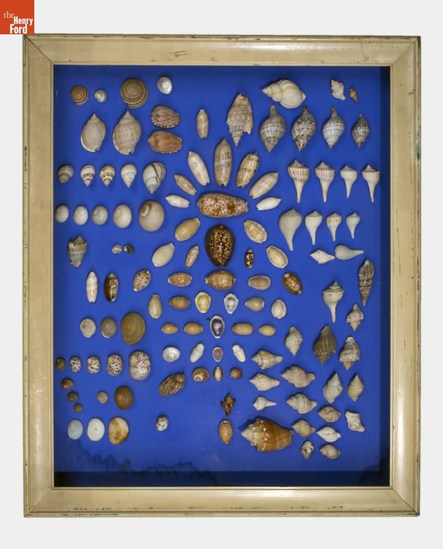 Seashells, Collected by Thomas Edison, Fort Myers, Florida, circa 1885