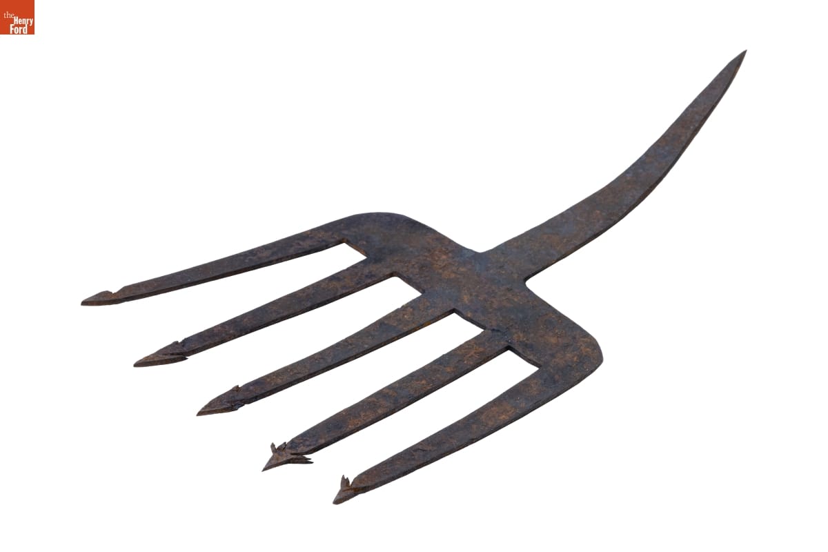Eelspear Head