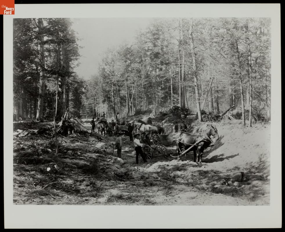 Road Construction in a Logging Area, circa 1900