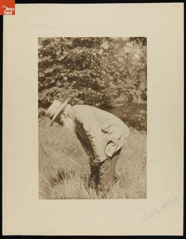 John Burroughs Looking for a Bird's Nest near Slabsides, June 1915