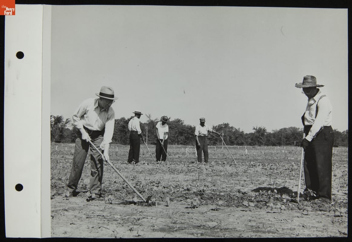 Ford Employees Tending Their Victory Garden, June 1944