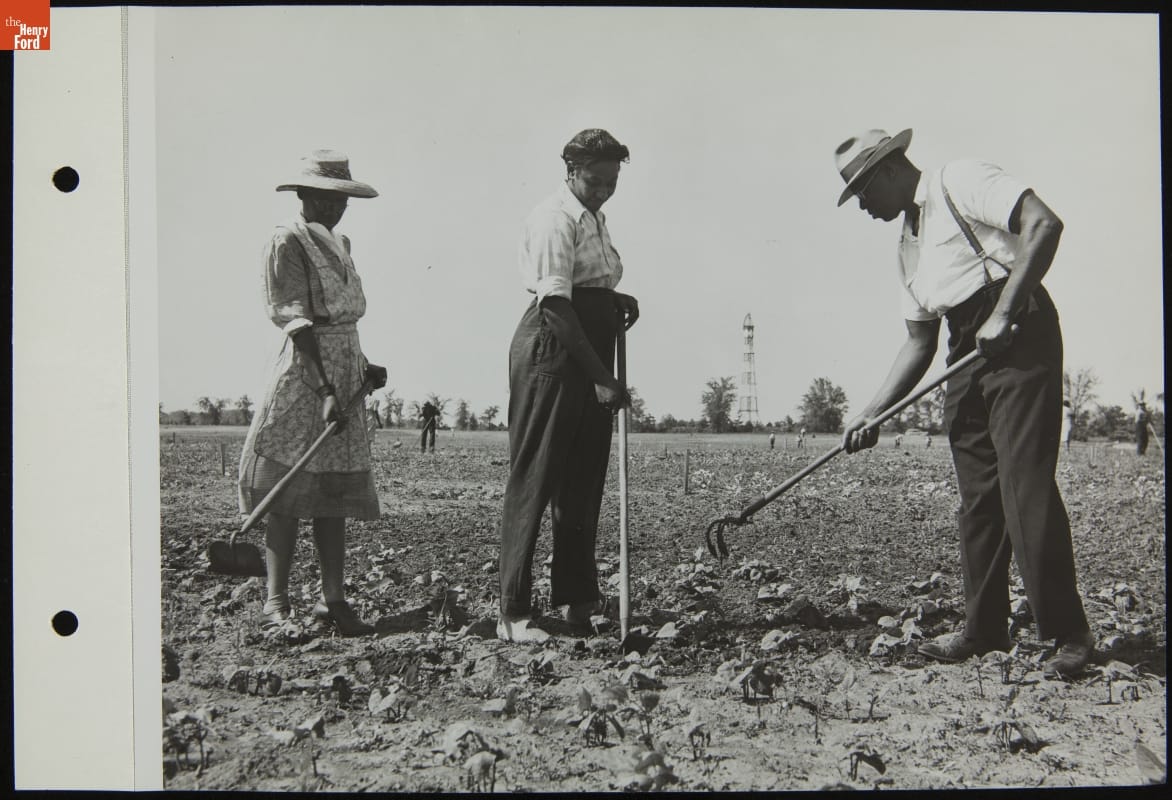 Ford Employees Tending a Victory Garden, June 1944
