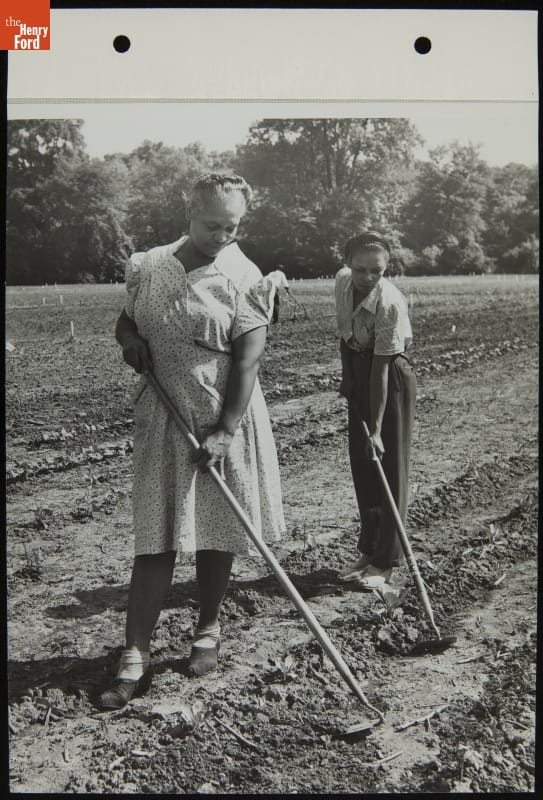 Ford Employees Tending a Victory Garden, June 1944