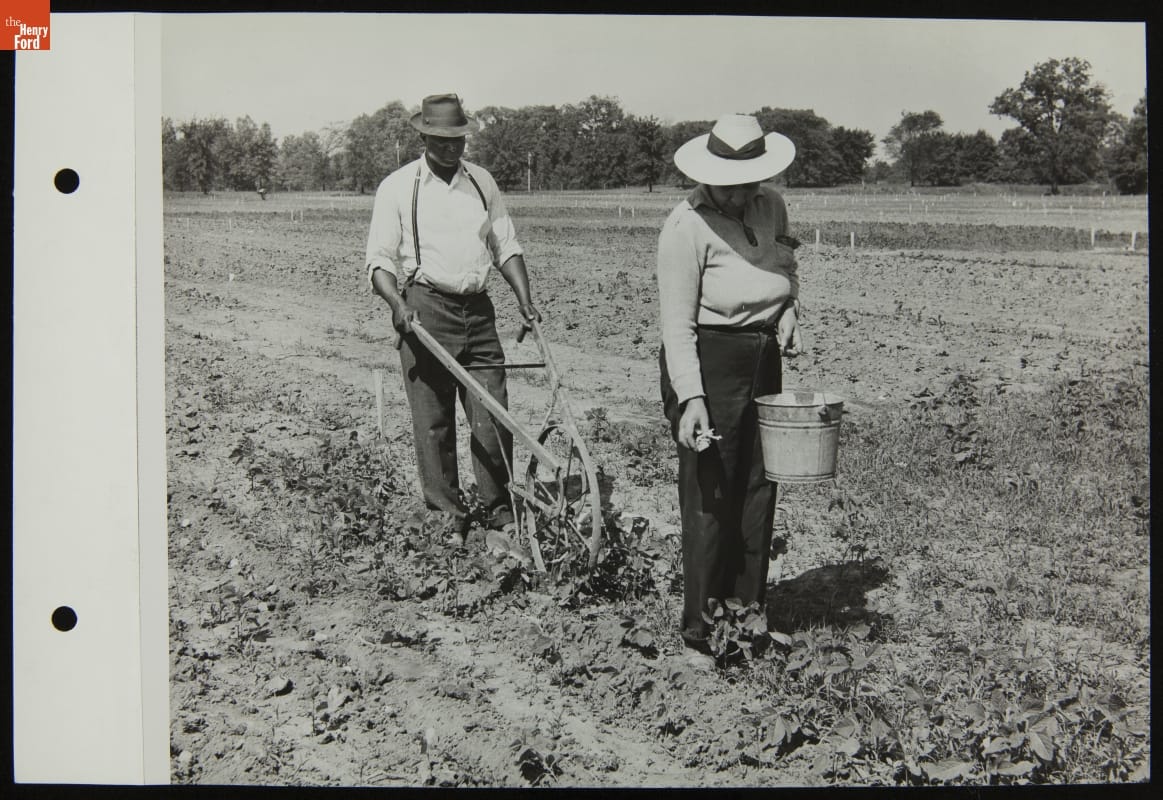 Ford Employees Tending Victory Garden, June 1944