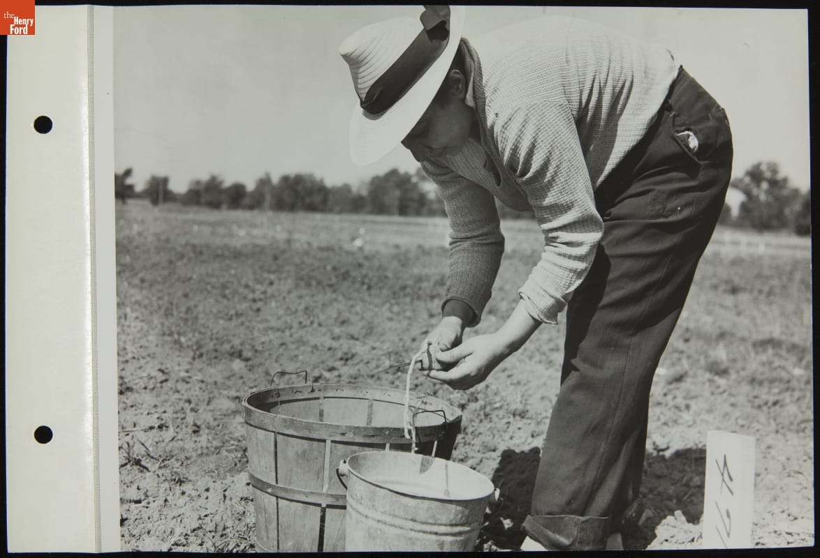 Ford Employee Tending Victory Garden, June 1944