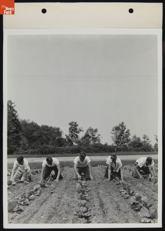 Boys Working Camp Willow Run Farm, June 1940