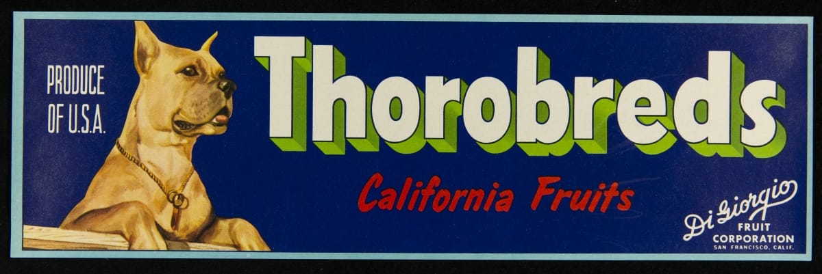 Crate Label, "Thorobreds Brand California Fruits," 1940-1950