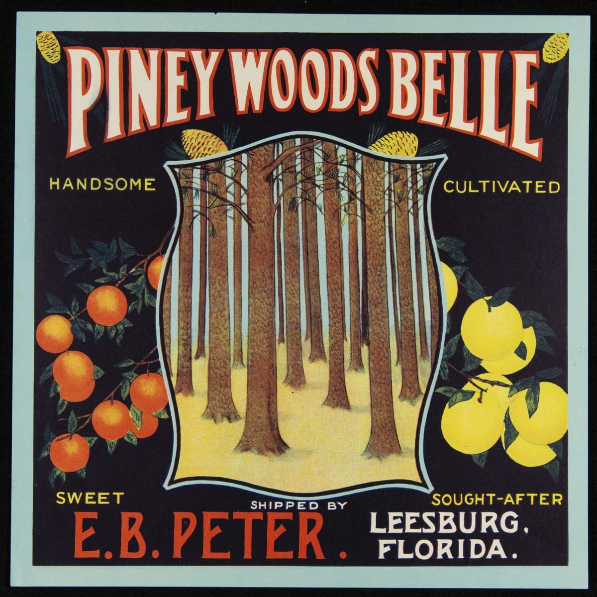 Crate Label, "Piney Woods Belle Brand Fruits," 1920-1940