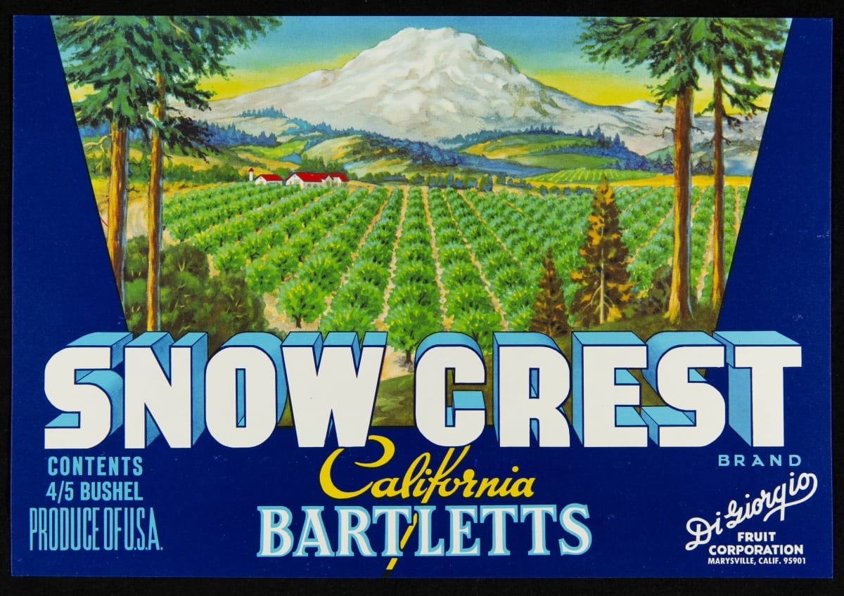Crate Label, "Snow Crest Brand Bartlett Pears," circa 1970