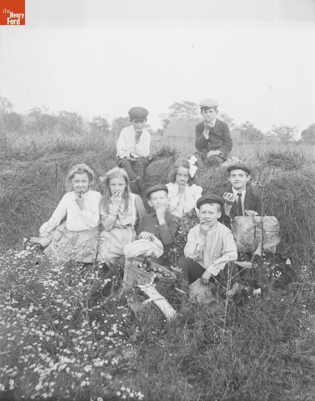Children, Tomato Gatherers, 1890-1915