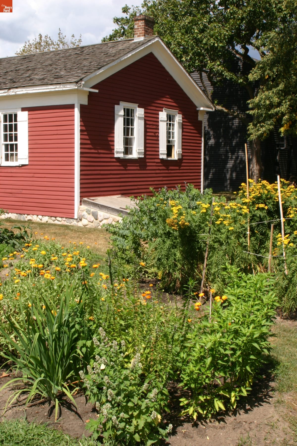 Garden by Dr. Howard's Office in Greenfield Village, August 2008