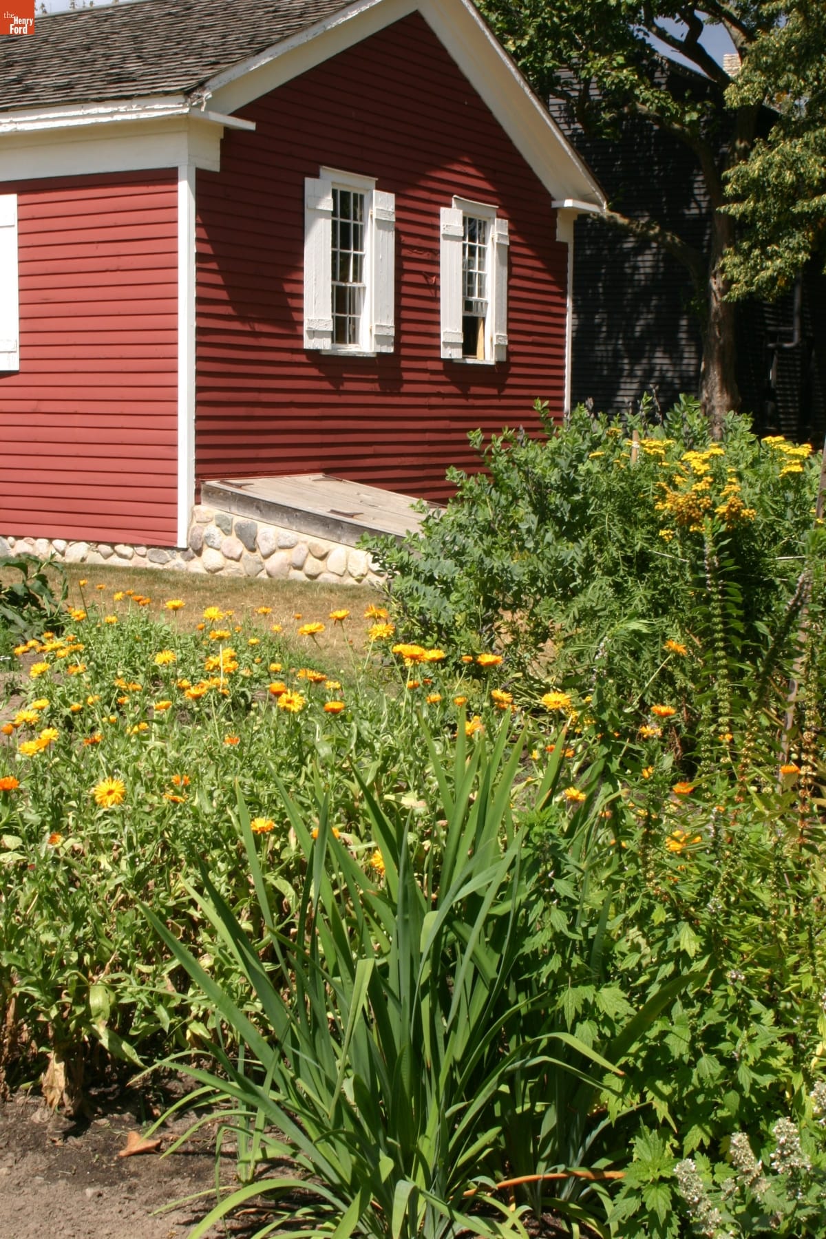Garden by Dr. Howard's Office in Greenfield Village, August 2008