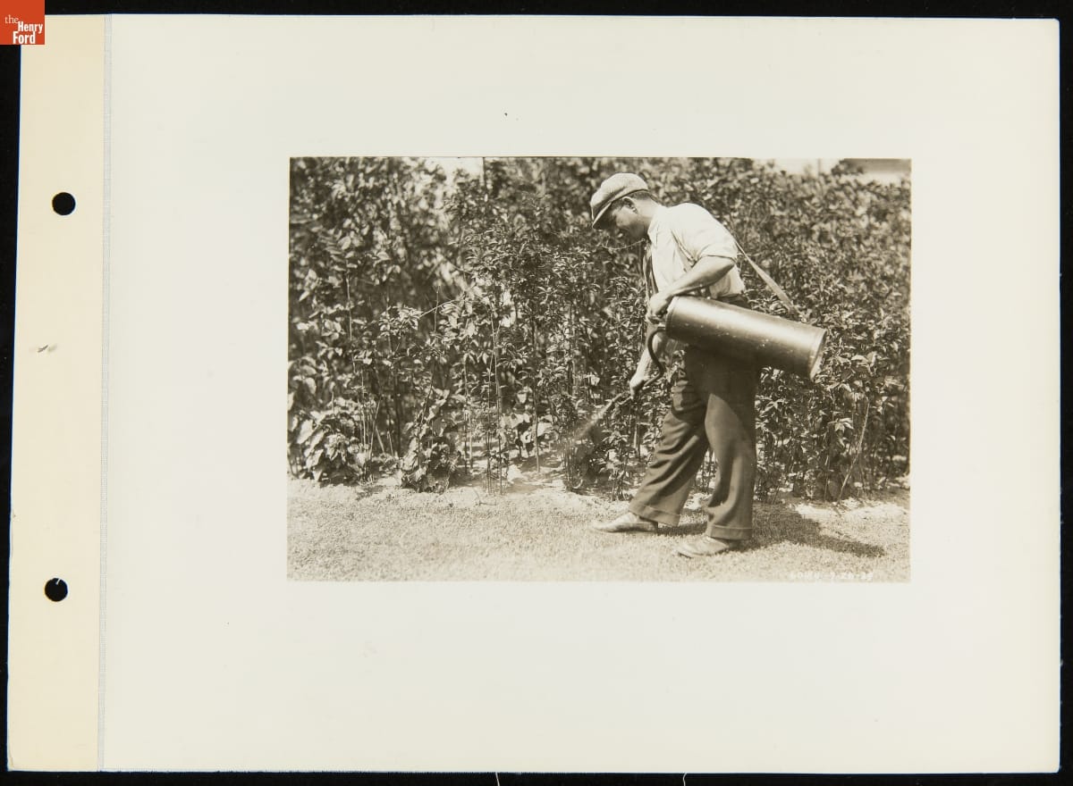 Man Spraying a Garden with Ford Ammonium Sulphate Fertilizer, July 26, 1929
