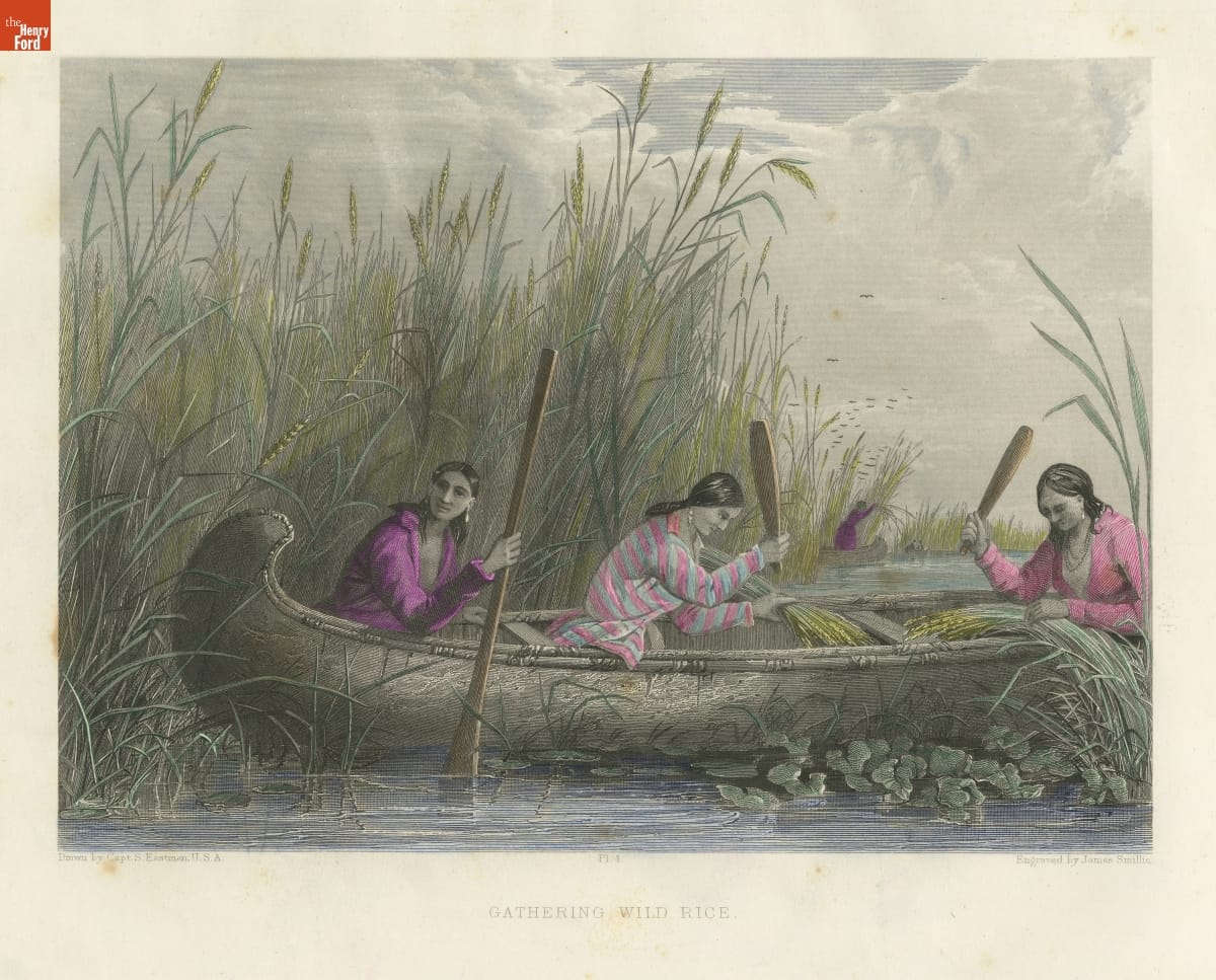 "Gathering Wild Rice"