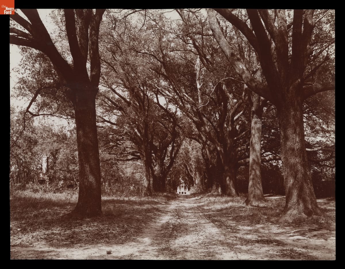 The Hermitage, Oak Avenue, Savannah, Georgia