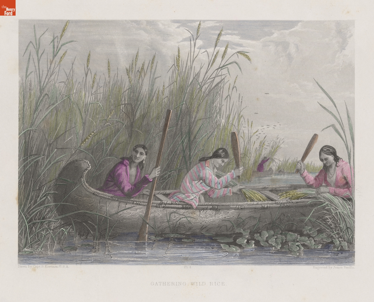 "Gathering Wild Rice"