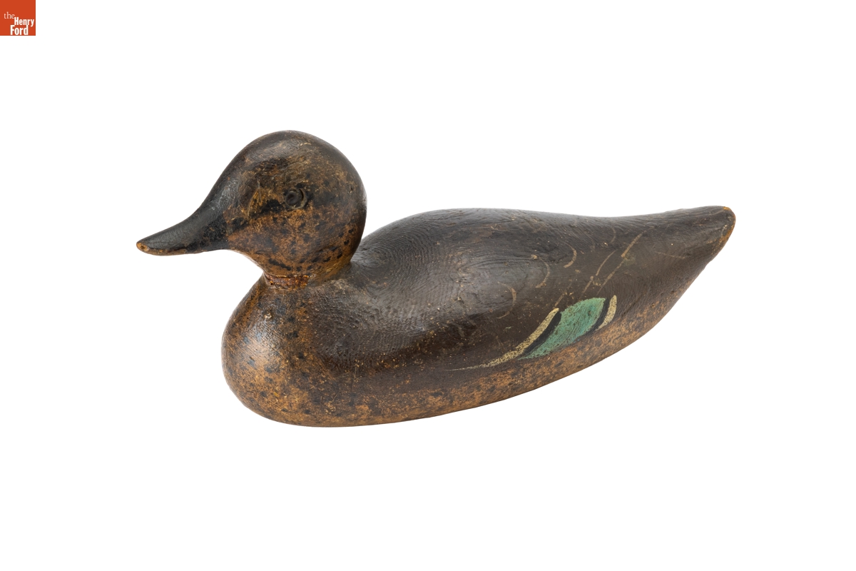 Blue-Winged Teal Duck, 1884-1894