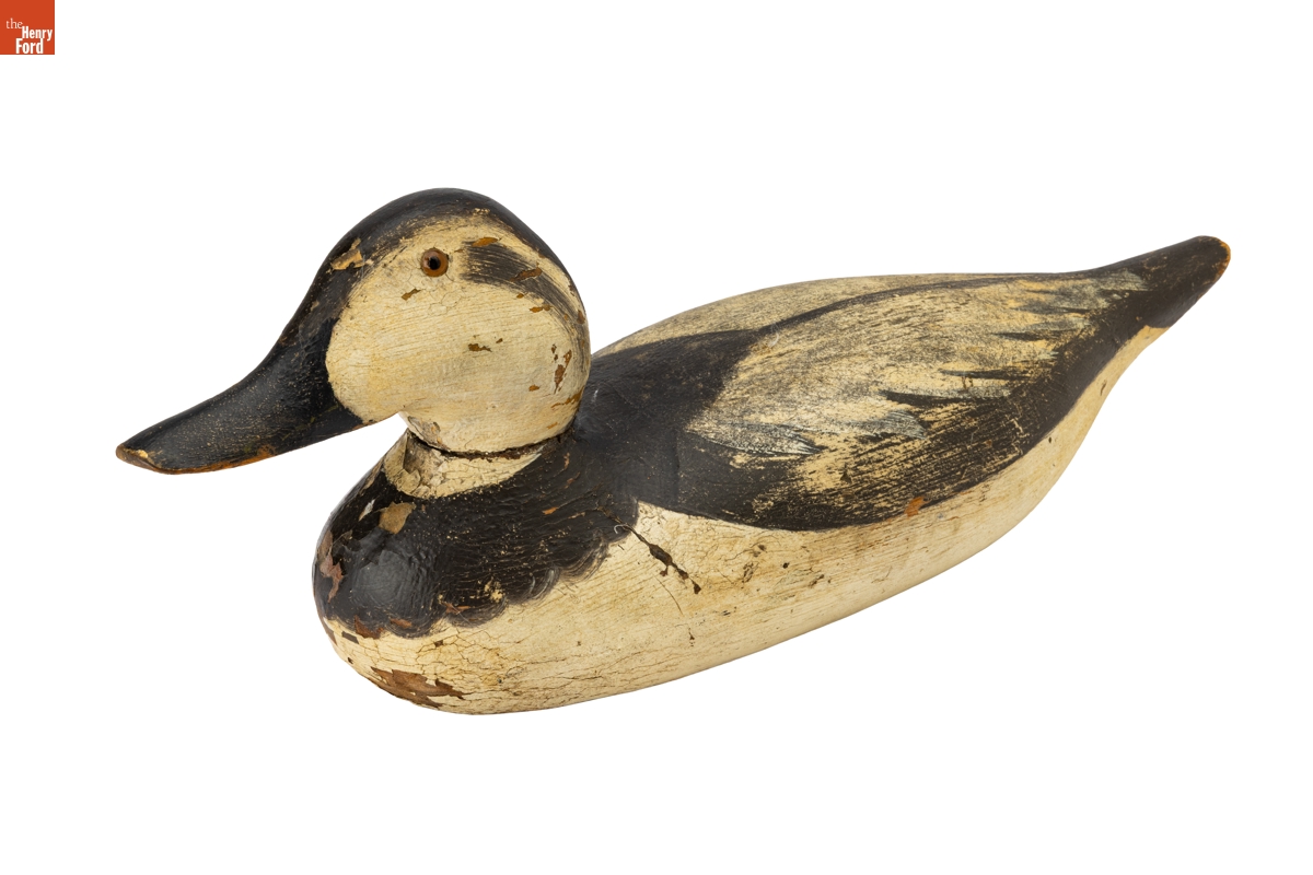 Long-Tailed Duck Decoy, 1896-1924