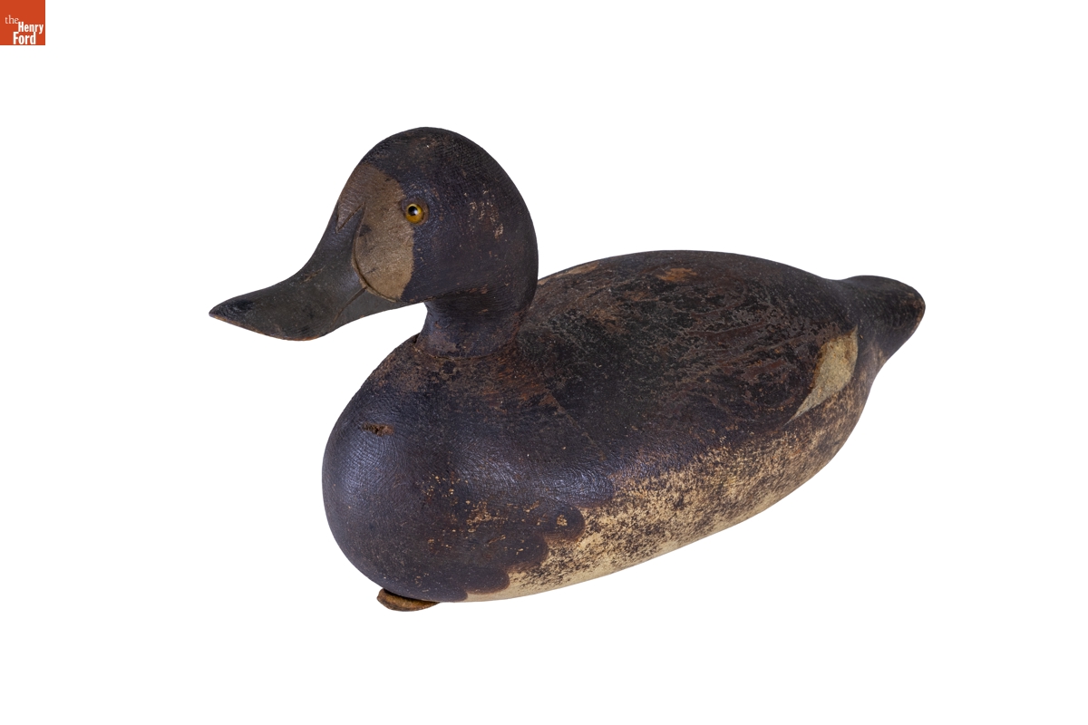 Greater Scaup Decoy, 1896-1924