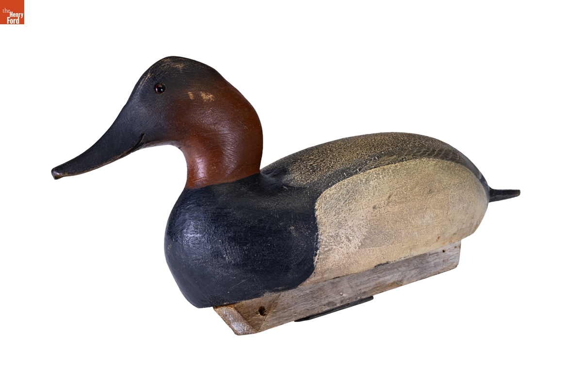 Canvasback Decoy, 1948-1958